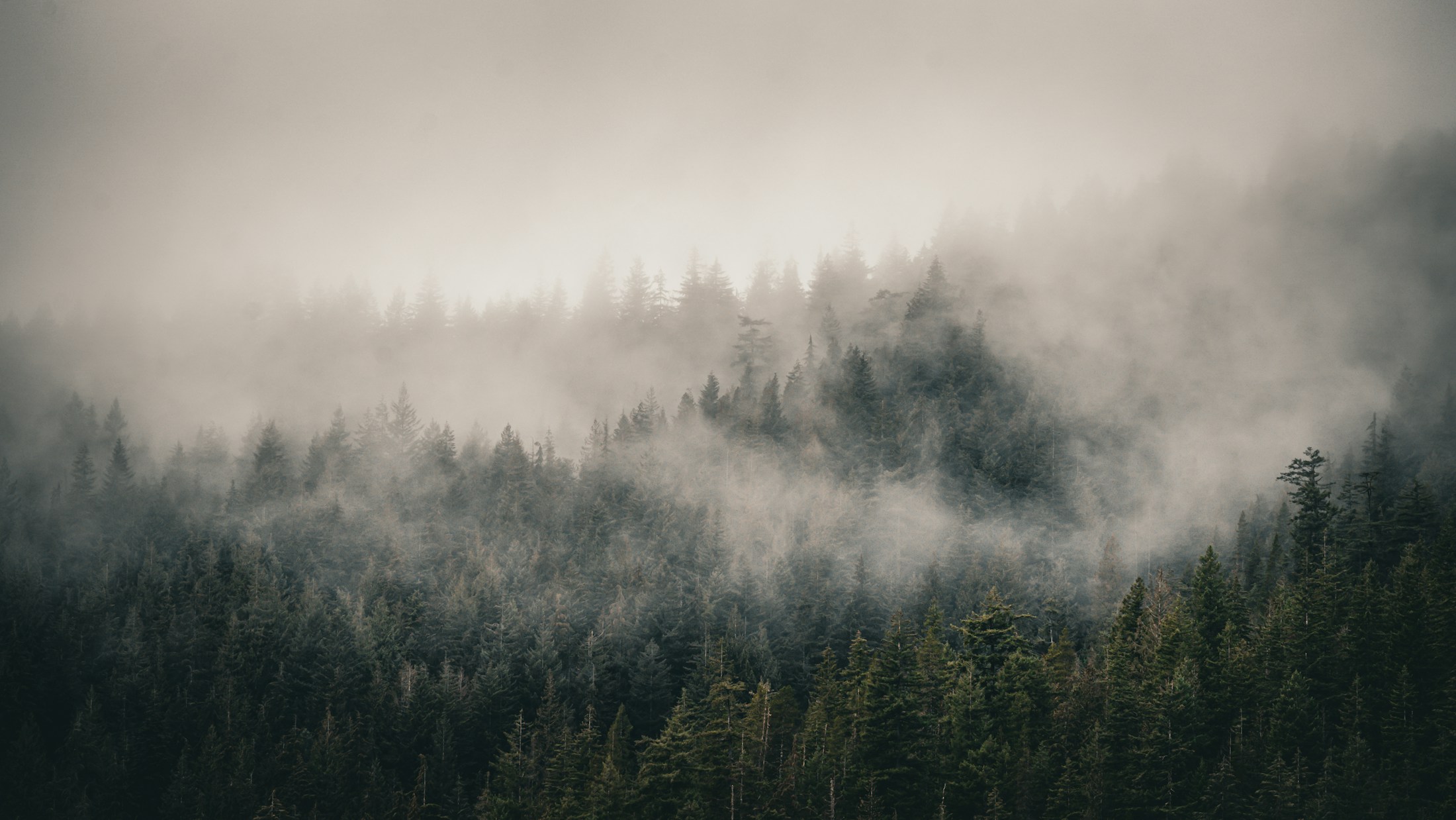 A steady place to slow down, be understood, and begin to heal.